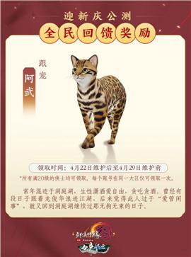 天龙八部私服天马单职